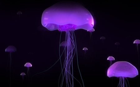 neon jellies - sting, ocean, jellyfish, black, deepsea, marinelife, purple, dark, fish, sea