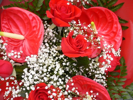 bouquet - red, roses, anturiums, bouquet, still life