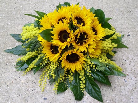 yellow - sunflowers, yellow, arrangement, mimosis, still life