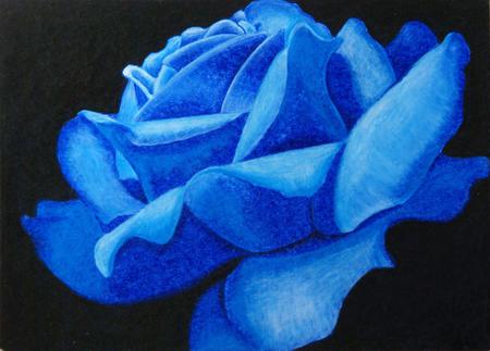 ღ Blue Rose ღ - abstract, blue, beautiful, rose, flower