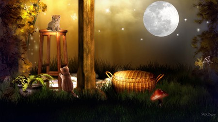 Moonlight Picnic - trees, butterflies, grass, light, stars, firefox persona, cat, picnic basket, dragonflies, kitten, mushrooms, full moon, sky, kitty