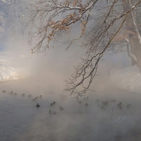 Cold Feet