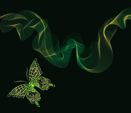 NEON BUTTERFLY - green, neon, butterfly, brillent