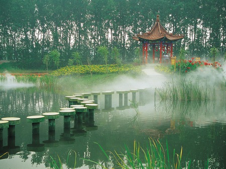 Pond   Mist - pond, morning, water, fog, mist