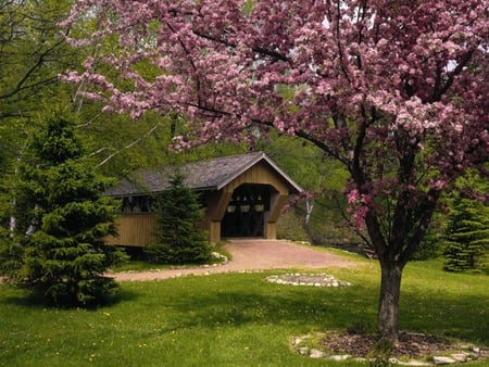 Blossom  Bridge - covered, grass, tree, bridge