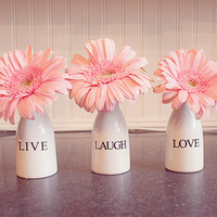 Live, Laugh, Love