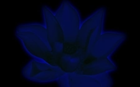 Blue Flower - flower, abstract, black, blue