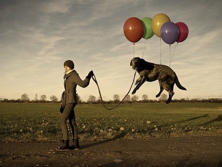 Floating the Dog - balloons, labrador, girl, dog