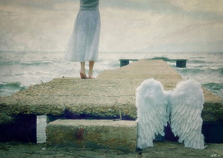 Let the wind carry you home - abstract, white, wind, wings, angel, home