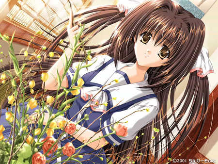 Anime - flowers, cutie, brown hair, brown eyes