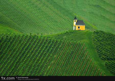 Lone House - peaceful, alone, yellow, lonely, tranquil, plain, green, architecture, house, grass