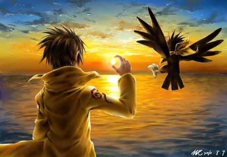 King of Bandits - clouds, bird, anime, water, jing, cool, male, animal, kir, king of bandits, sky