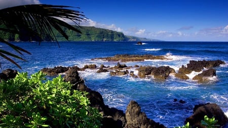 Deep Blue Waters - ocean, beach, trees, tropical, palm, rocks, nature, blue, sea