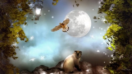 Full Moon Hawk - bird, trees, summer, bird of prey, lanterns, light, stars, firefox persona, cat, hawk, siamese, full moon, sky