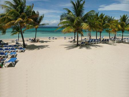 Let's Go Swimming - palm, water, beach, ocean, blue, sand, sky, chairs, clouds, trees, day