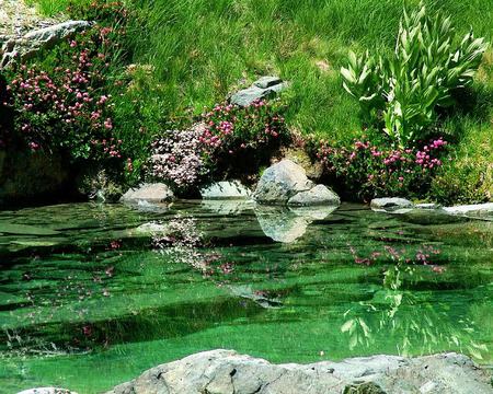 Soft Gentle - water, rock, grass, daylight, river, bush, nature, green, day