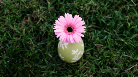 Pink Flower - picture, flower, pink, beautiful