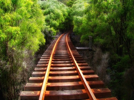 R&R TO  NO WHERE!!!!!!!!!! - train, trees, nowhere, tracks