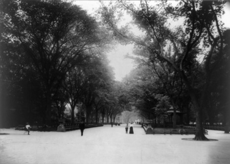 Central Park/then - new york, people, trees, other