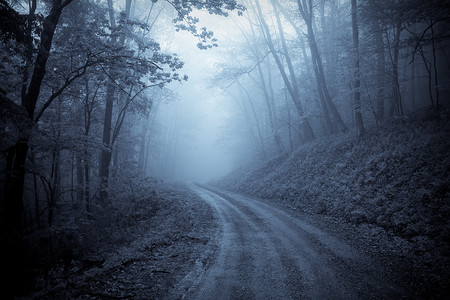 Blue Road - moon, road, night, forest, dark