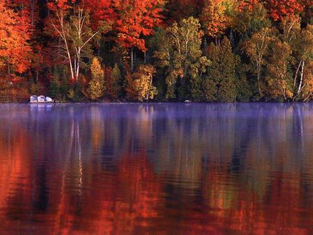 Red Reflection - dark red, trees, dark yellow, red