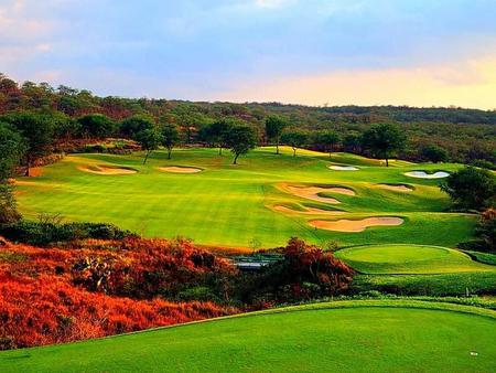 playing golf - clouds, trees, very beautiful, red, green, plants, sky