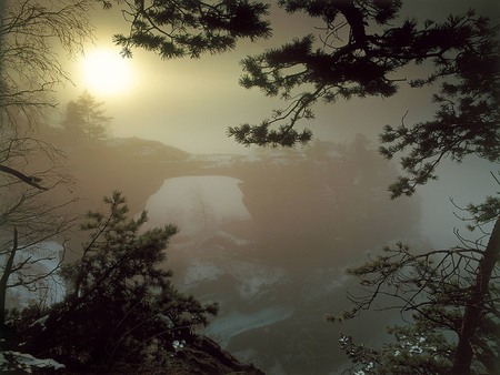 Trying to Break Through - trees, winter, watery sun, mist, snow, sun, bridge