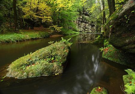 Down River - river bank, quiet, trees, water, woodland, moss, leaves, ferns, green, secluded, rocks