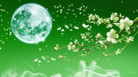 Apple Blossoms Green - stars, smoke, summer, spring, full moon, green, flowers, sparkles, firefox persona, apple blossoms