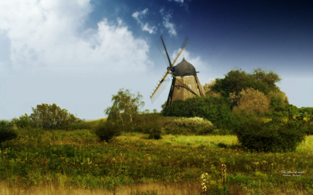 The color of wind - landscape, andrea andrade, nature, fields