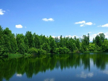 Rio Verde - river, trees, nature, green, landscape