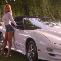 sexy blonde with car