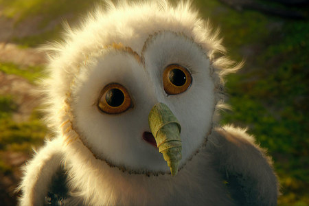 Guardians Of Ga' Hoole: Eglantine - movie, owlet, animals, birds