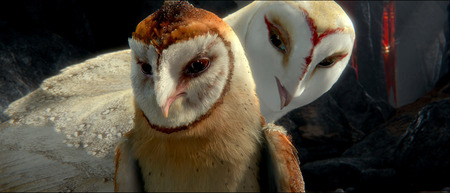 Nyra And Kludd - birds, guardians, movie, pure one, evil, animals