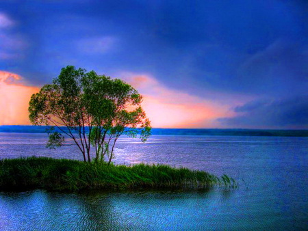 My little island - sky, ocean, pink, clouds, blue, island, tree