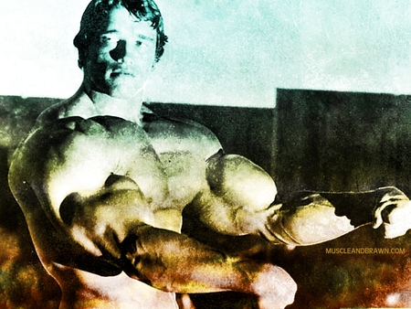 Arnold Schwarzenegger - bodybuidling, muscle, arnold schwarzenegger