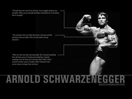 Arnold Schwarzenegger