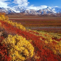 Range Denali Alaska