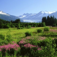 Mendenhall Glacier Alaska