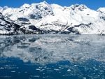 Icebergs Glacier Bay