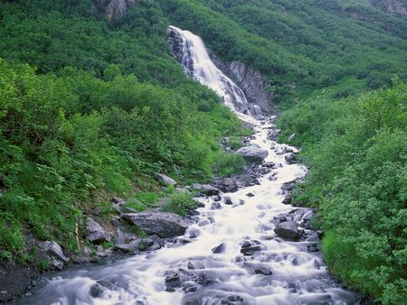 Seasonal Waterfall Chugach Mountains - fall, river, trees, waterfall, alaska, forest