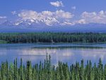 Willow Lake and Mount Wrangell