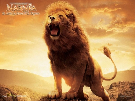 Comments on Narnia Aslan - Movies Wallpaper ID 58436 - Desktop