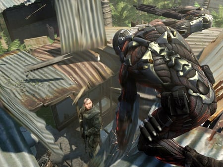 Crysis Surprise - action, crysis, surprise