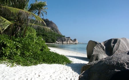 Peaceful Beach - nature, ocean, beach, peaceful, tropical, sand