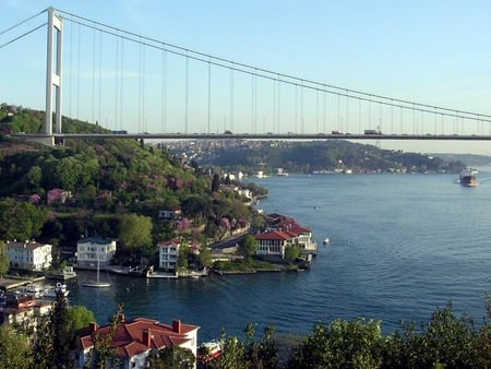 kanlica,istanbul - nature