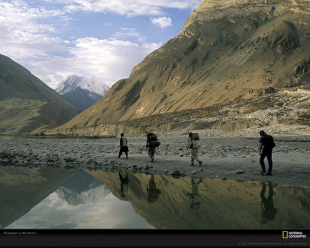 nat geo - what a beauty, original wallpaper