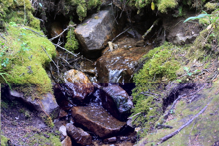 Cascade at Banff Alberta National Park 44 - waterfalls, photography, creek, grass, black, grey, nature, cascade, green, Canyons, rocks, banff