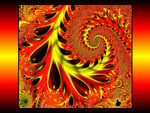 Ferocity Fractal