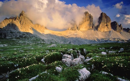 Mountain Wildflowers - clouds, blooms, grass, flowers, field, mountains, sun, sky, rocks